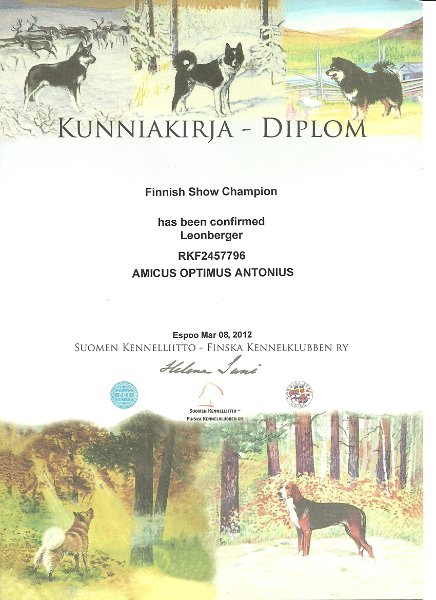 CH Fin.jpg - Finnischer Champion
